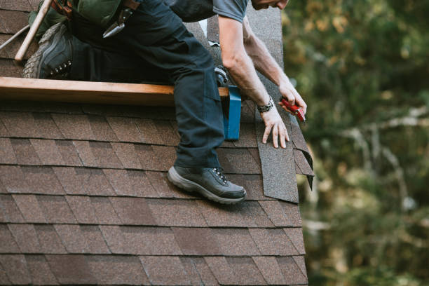 Best Gutter Replacement  in Manchester, GA